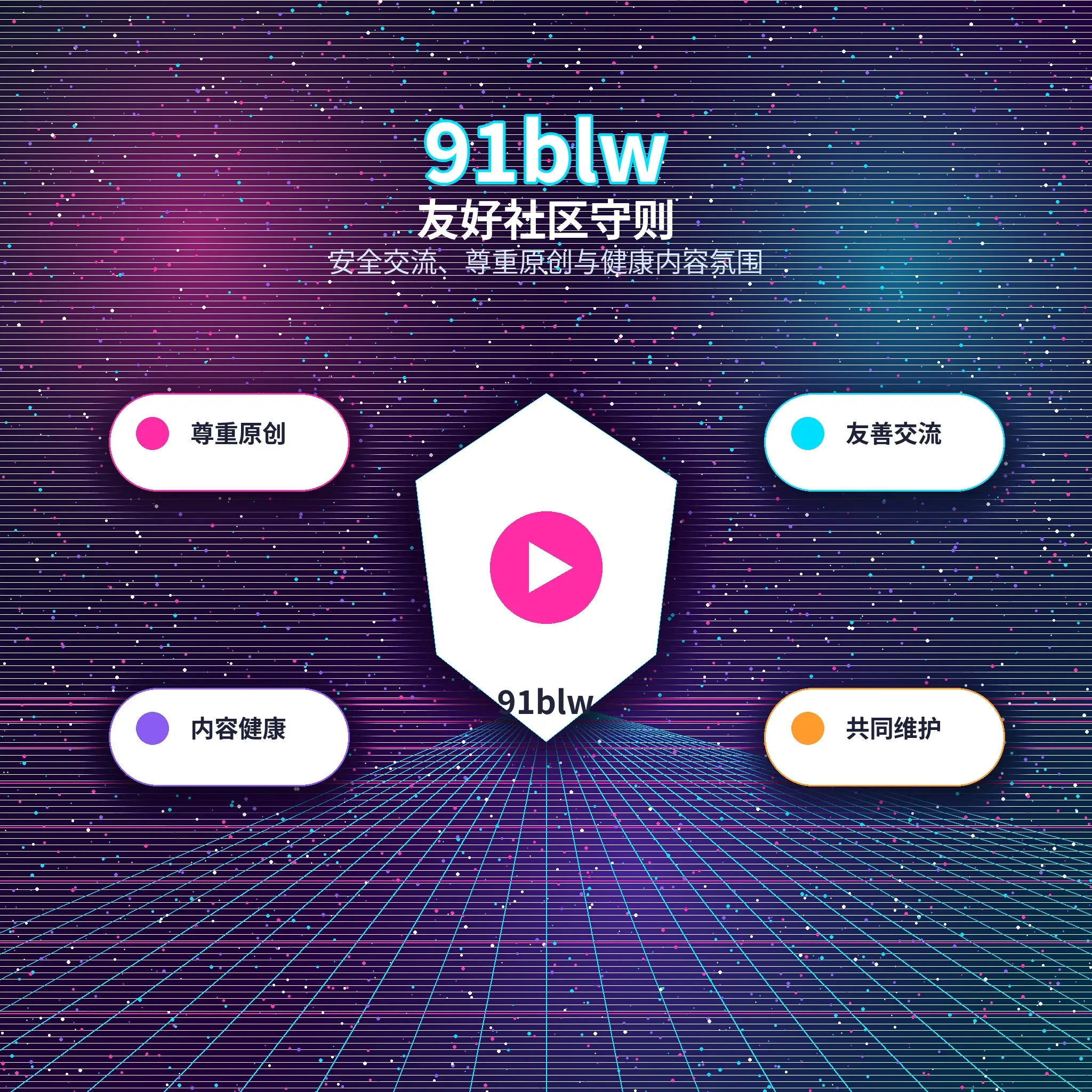 91网账户资料与使用指南
